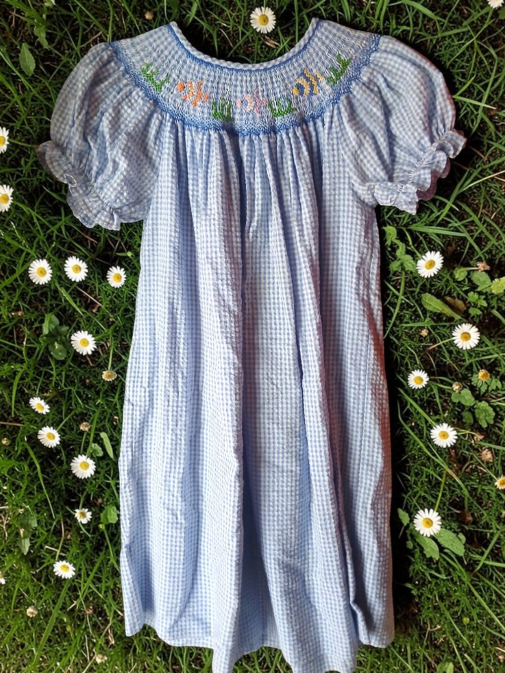 Rosalina Collections Girls 4T Blue Gingham Smocked Bishop Dress Puff Sleeve